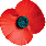 Poppy